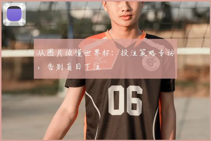 从图片读懂世界杯：投注策略专访，告别盲目下注