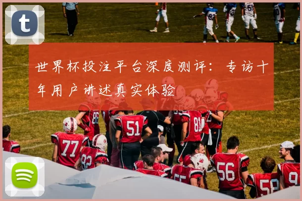 世界杯投注平台深度测评:专访十年用户讲述真实体验