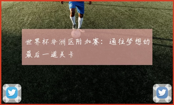 世界杯非洲区附加赛：通往梦想的最后一道关卡
