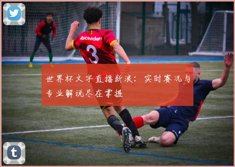 世界杯文字直播新浪:实时赛况与专业解说尽在掌握