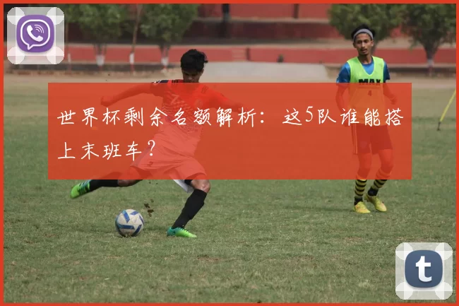 世界杯剩余名额解析:这5队谁能搭上末班车?