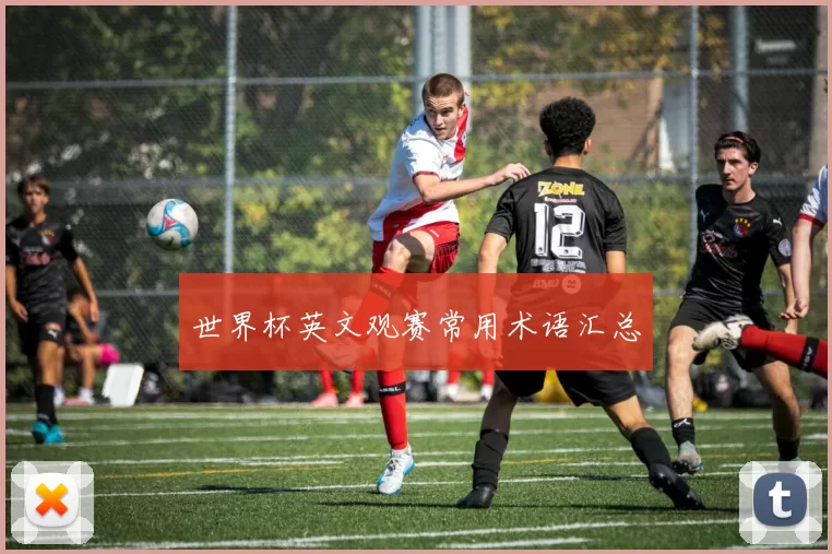 世界杯英文观赛常用术语汇总