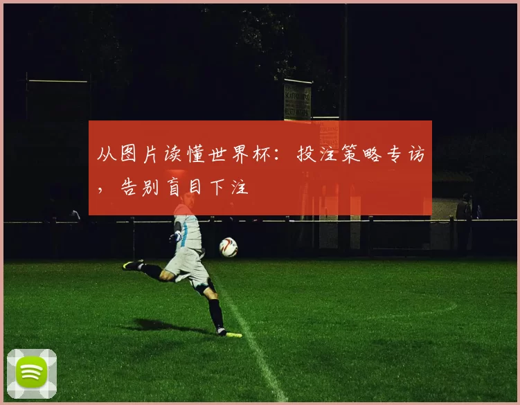 从图片读懂世界杯:投注策略专访,告别盲目下注