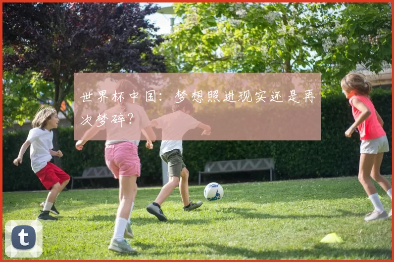 世界杯中国:梦想照进现实还是再次梦碎?