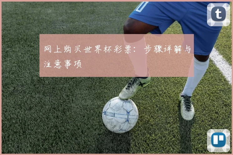 网上购买世界杯彩票:步骤详解与注意事项