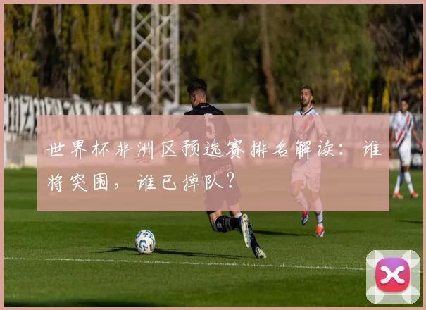 世界杯非洲区预选赛排名解读:谁将突围,谁已掉队?