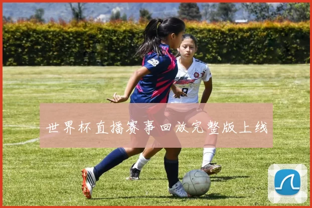 世界杯直播赛事回放完整版上线