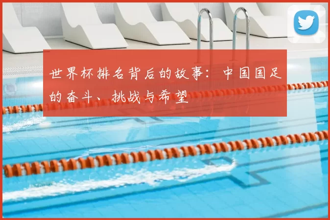 世界杯排名背后的故事：中国国足的奋斗、挑战与希望