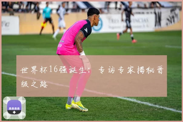 世界杯16强诞生:专访专家揭秘晋级之路