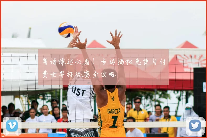 粤语球迷必看!专访揭秘免费与付费世界杯观赛全攻略