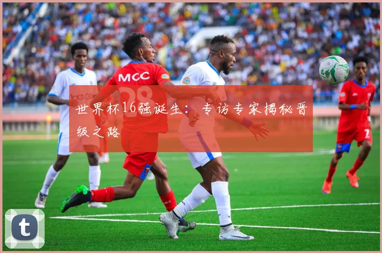 世界杯16强诞生：专访专家揭秘晋级之路